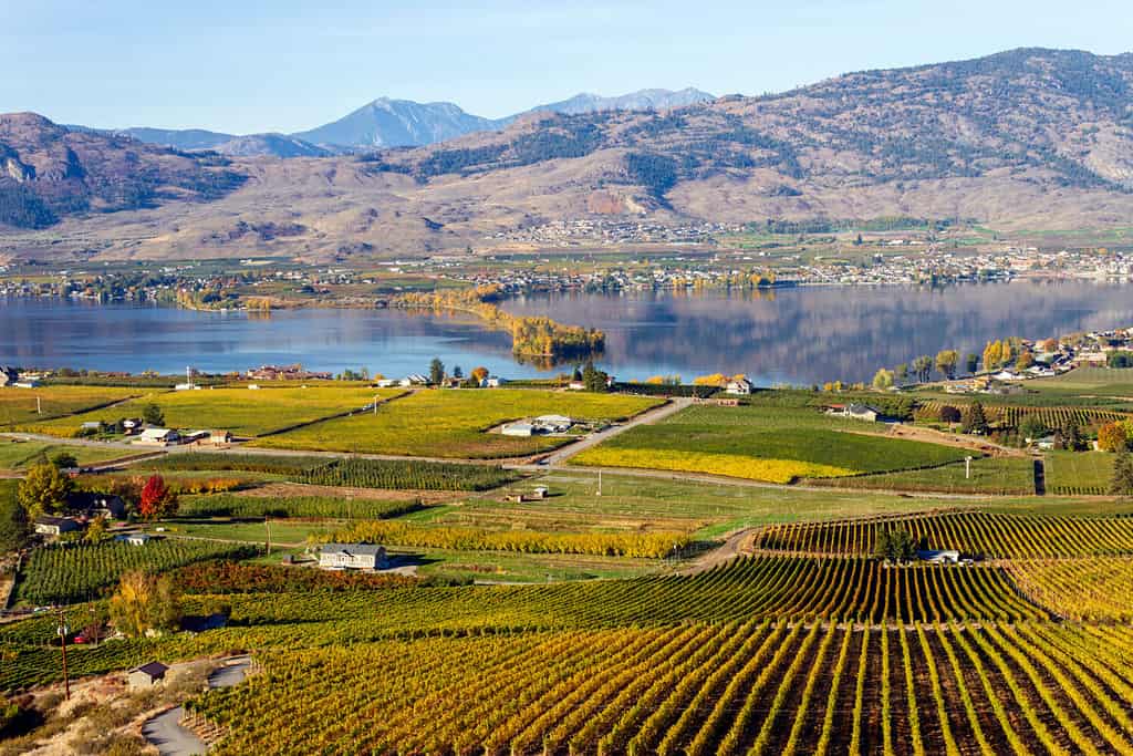 Vista della piccola città di Osoyoos e Haynes Point Provincial Park sul lago Okanagan, British Columbia, Canada.  Osoyoos è una città nella regione della Okanagan Valley della Columbia Britannica, in Canada.