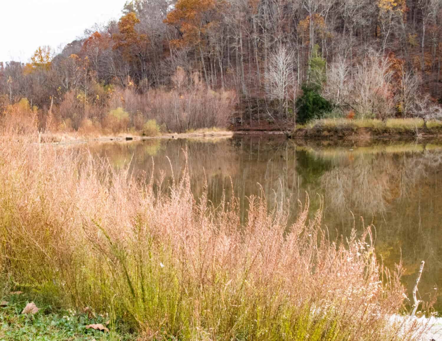 La bella scena della natura è Putnam County West Virginia