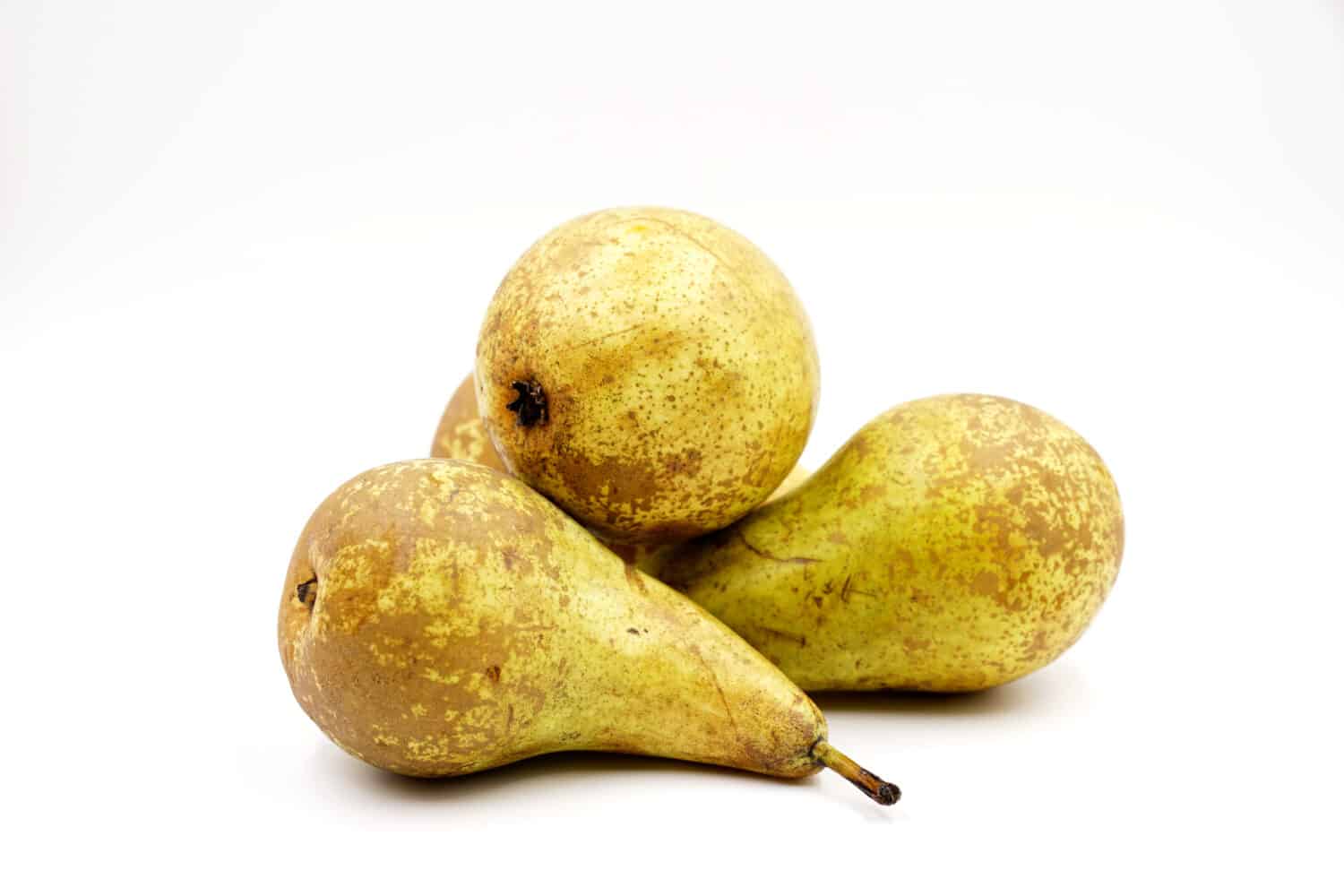 Pere Concorde fresche