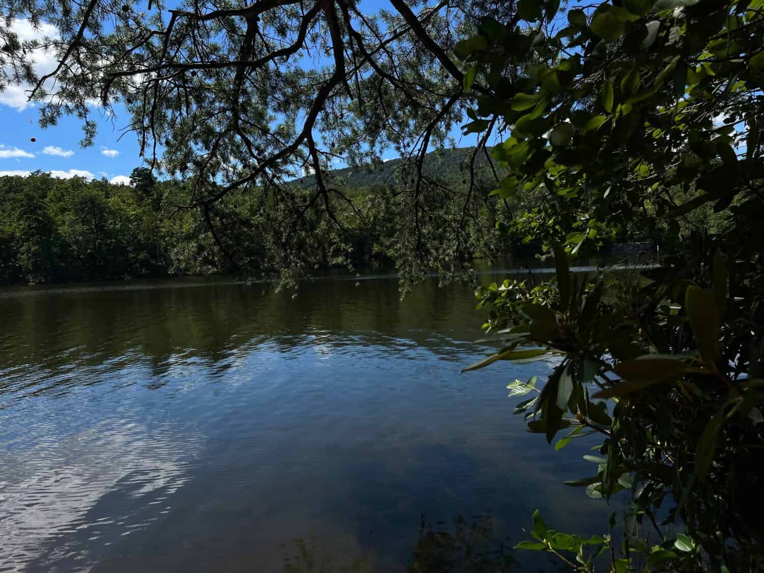 Lago a Hanging Rock Park con albero penzoloni