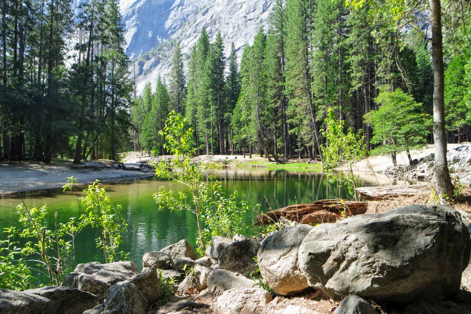 Vista sul fiume dal campo delle pulizie nella Yosemite Valley.