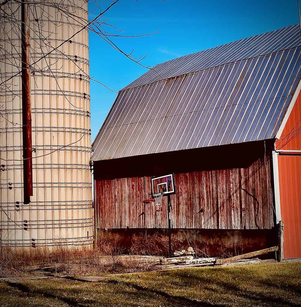 Palla da basket in stile Indiana