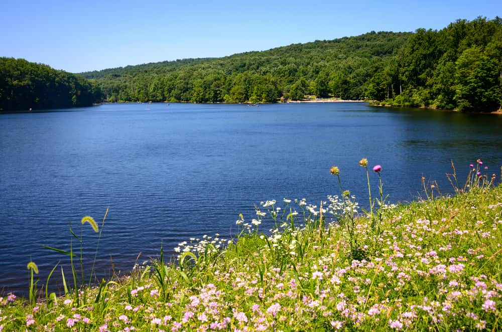 Questa è una foto del Cunningham Falls State Park nel Maryland.