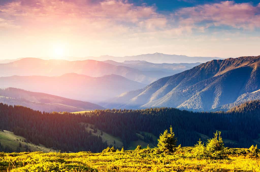 Panorama maestoso di montagne verdi con travi soleggiate.  Scena drammatica.  Parco Nazionale, Carpazi, Ucraina, Europa.  Mondo della bellezza.