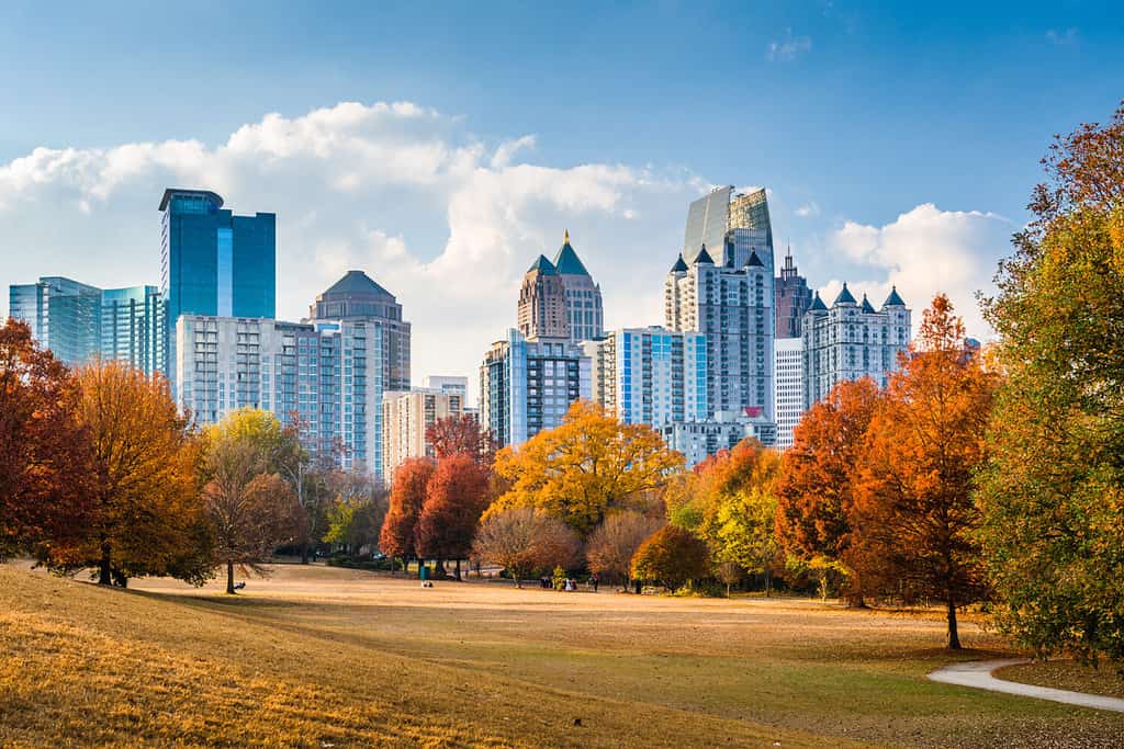 Atlanta, Georgia, Stati Uniti d'America skyline di Midtown da Piedmont Park in autunno.
