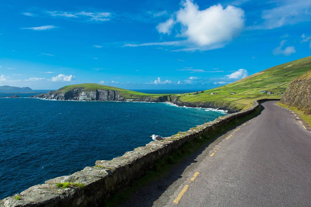 Single Track Coast Road a Slea Head in Irlanda