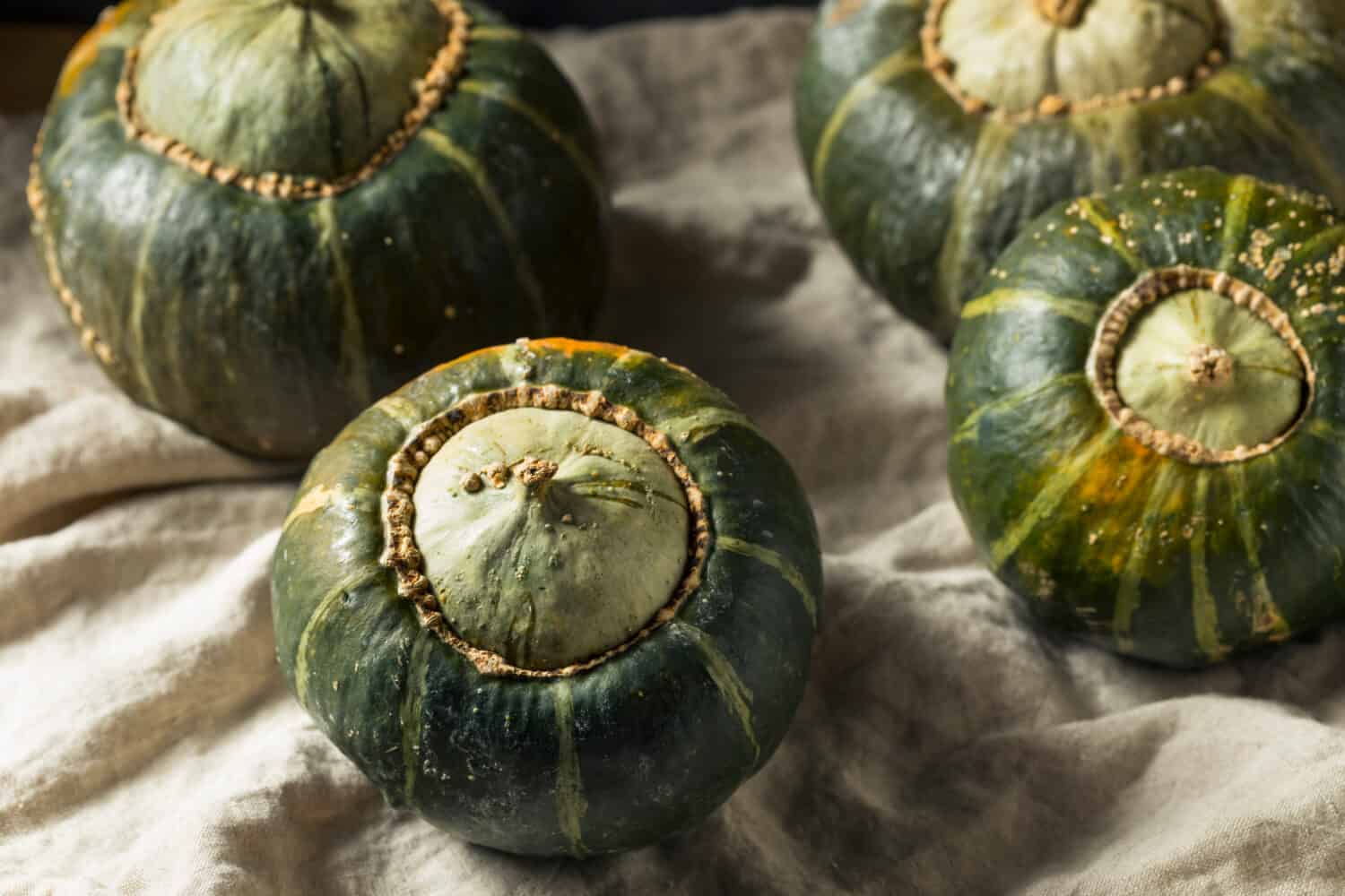 Zucca di ranuncolo organica cruda pronta da tagliare