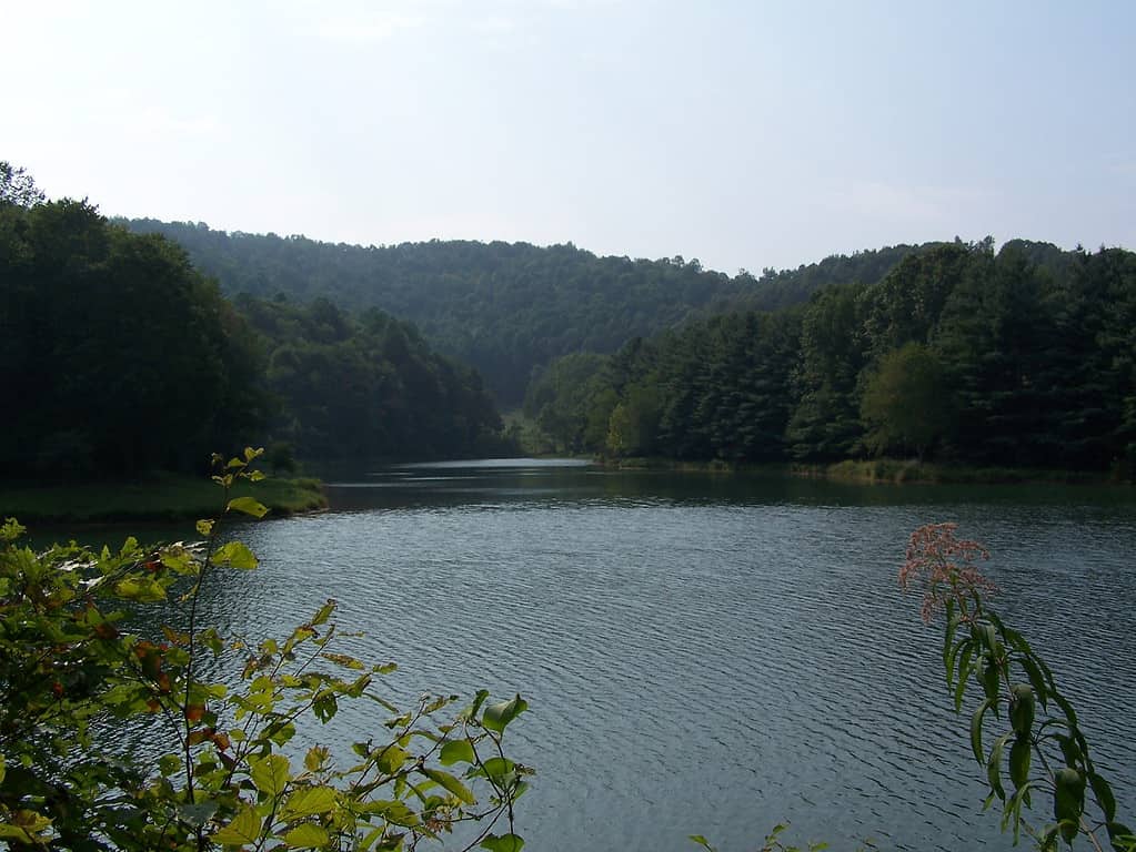 Lago di Stonecoal Reservoir nel West Virginia