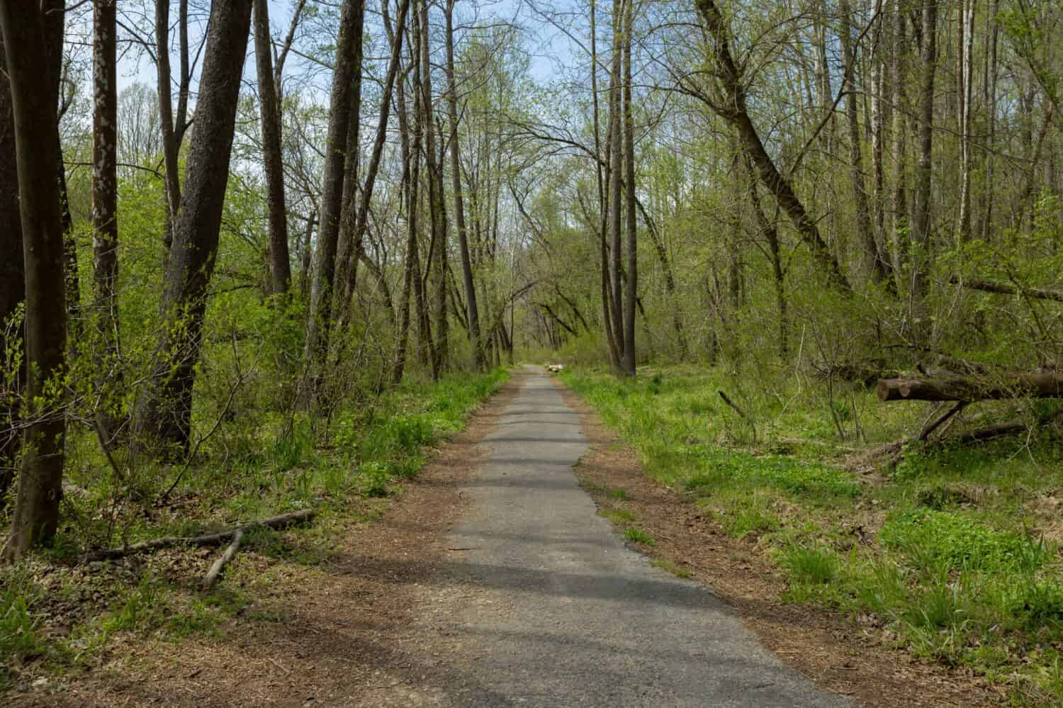 Alberton Road Trail Path, Patapsco Valley State Park