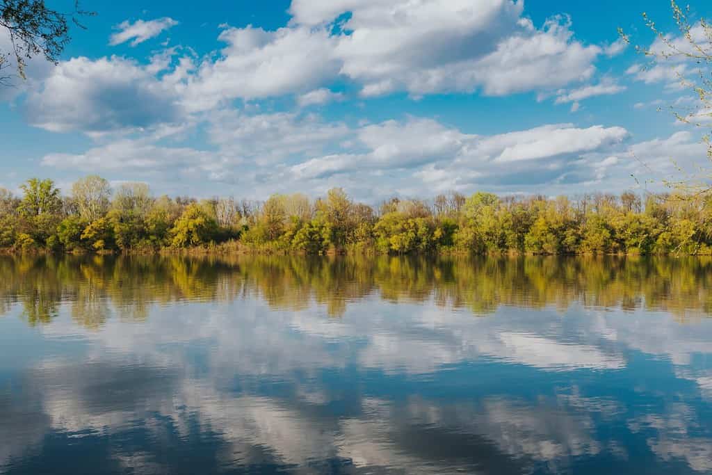 Il lago Parvin attraverso le pinete del South Jersey