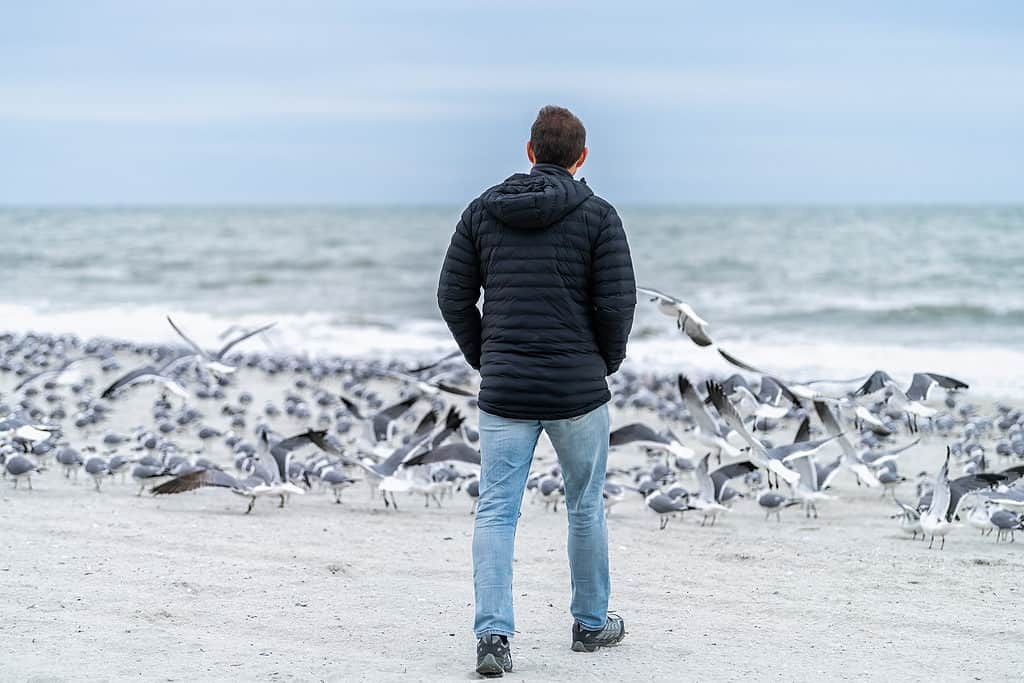 Freddo della Carolina del Sud