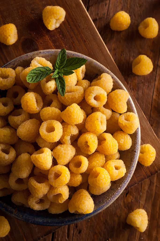 Lamponi Gialli Organici Crudi