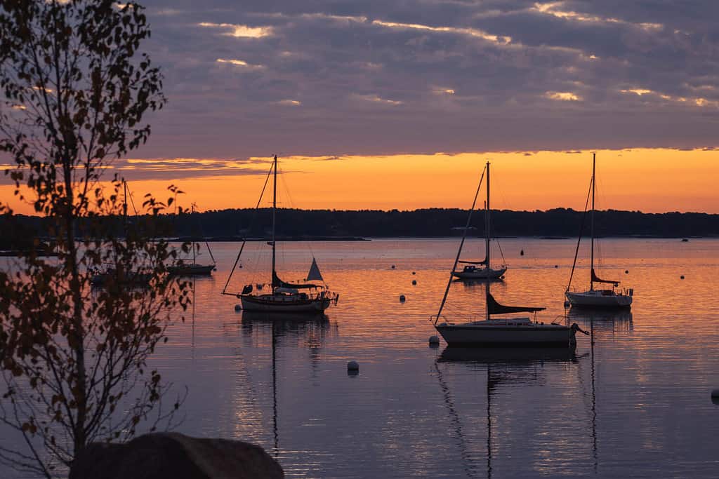 Kittery Marina sunrise con barche a vela - Kittery, Maine.