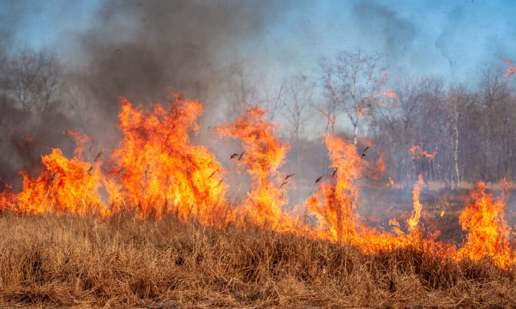 Gli incendi sono comunemente associati al colore arancione.