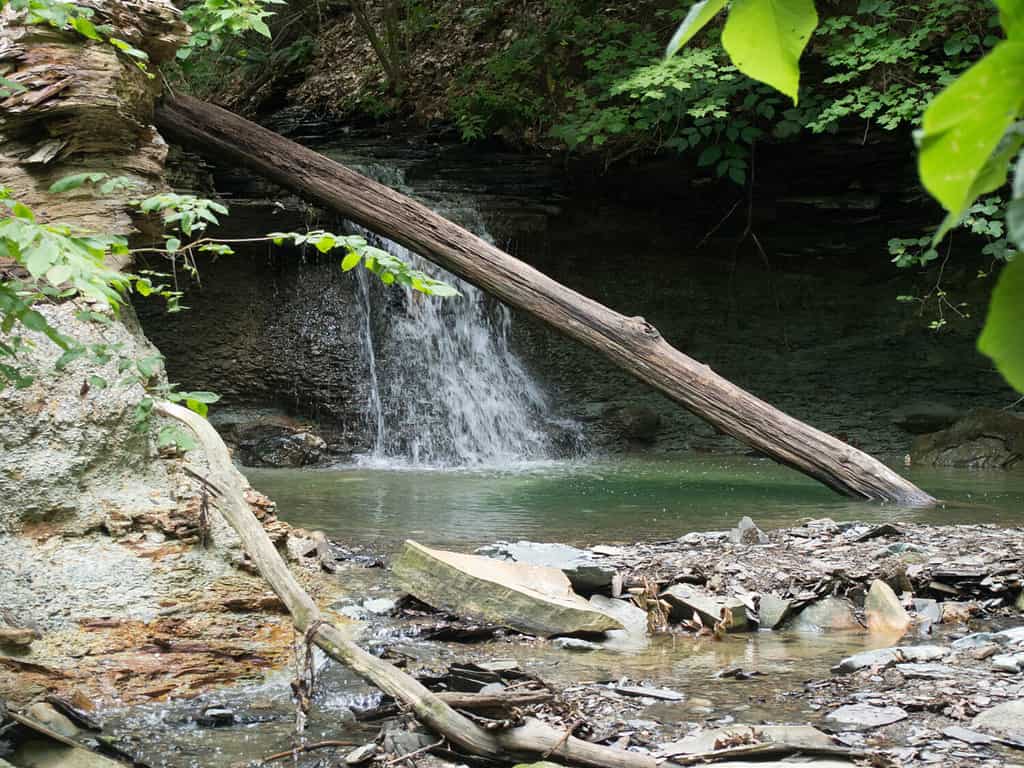 Piccola cascata con un albero davanti in un Delaware County Park in Ohio
