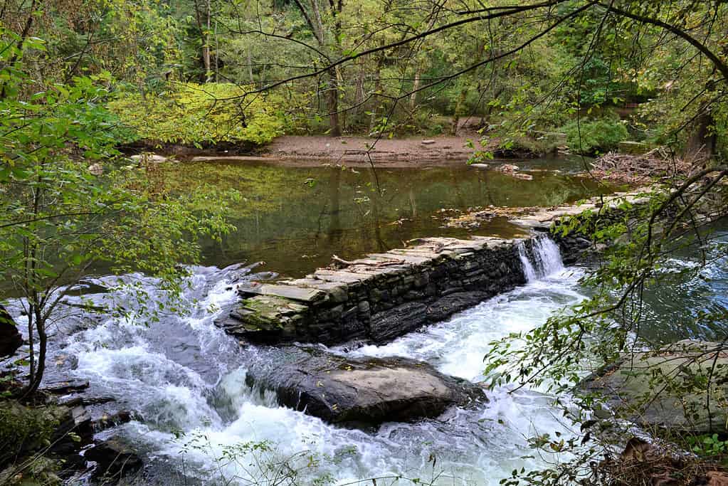 Wissahickon, torrente,