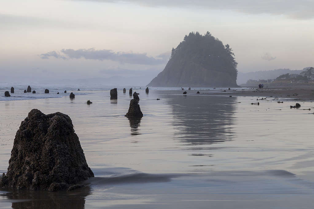 Foresta fantasma di Neskowin sulla costa dell'Oregon