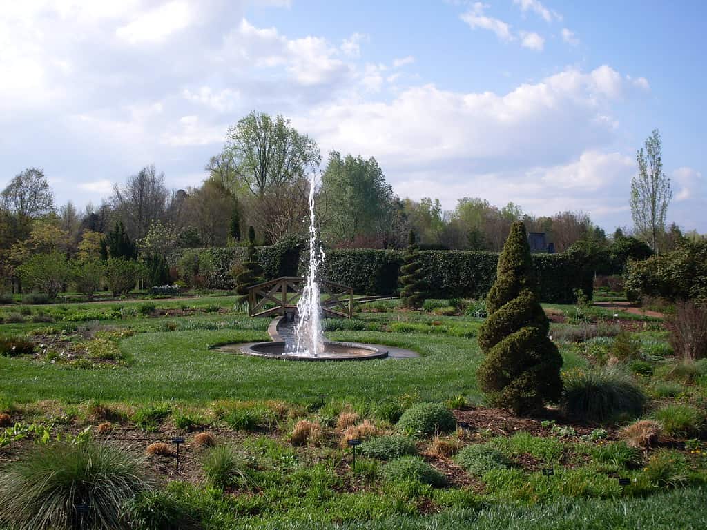 Giardino botanico Daniel Stowe