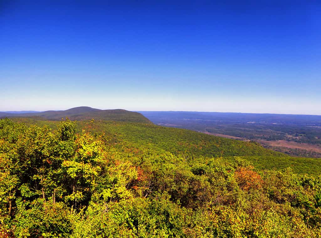 Bear Mountain, è una vetta prominente delle montagne Taconic meridionali. Si trova nella città di Salisbury, nel Connecticut, negli Stati Uniti.