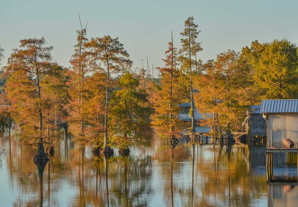 Una Boat House tra cipressi calvi lungo il litorale del lago D''Arbonne. A Farmerville, Union Parish, Louisiana