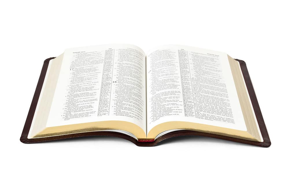 aprire il libro della Sacra Bibbia isolato su sfondo bianco