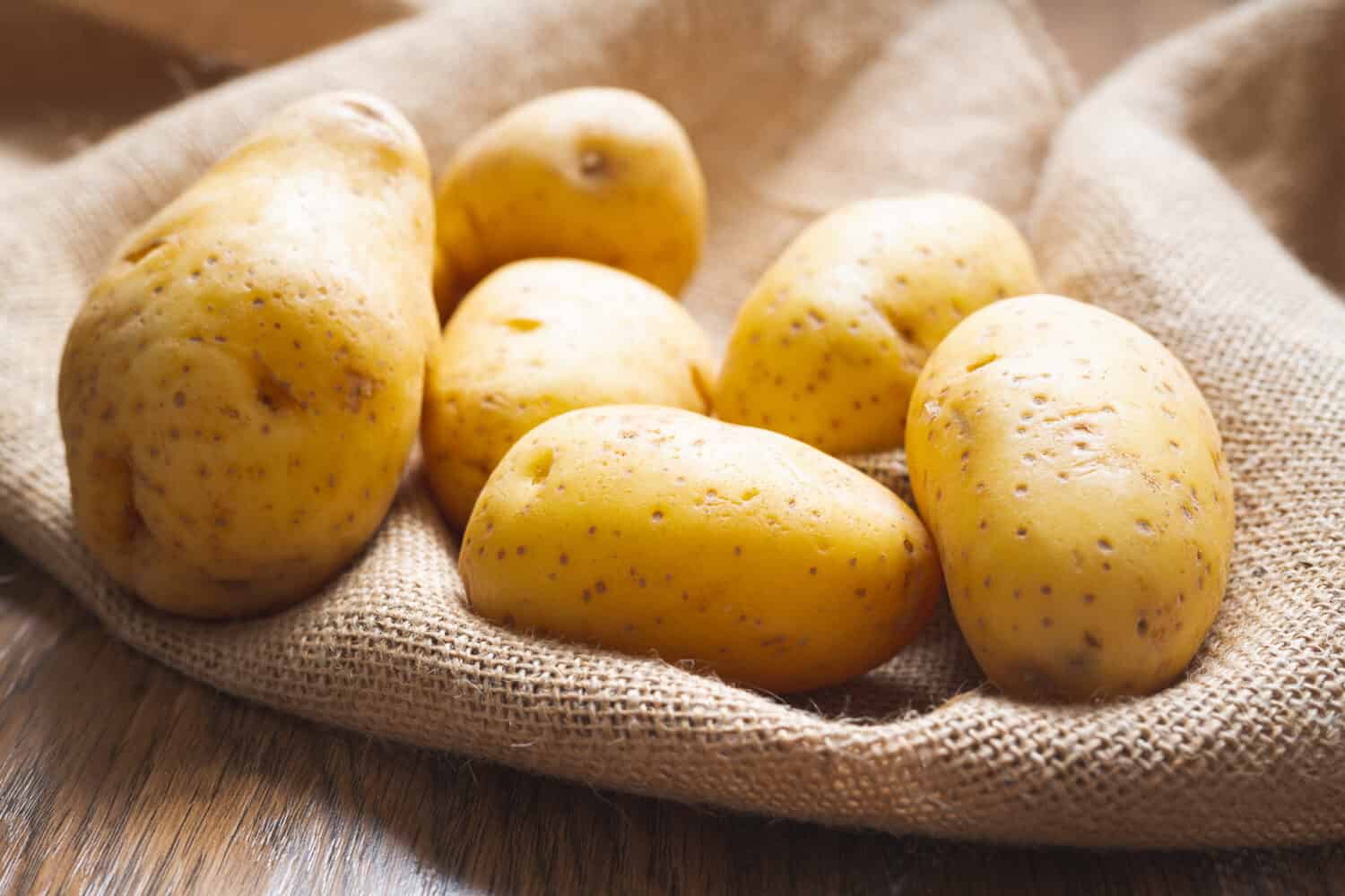 Patate.  Patate Yukon Gold fresche e biologiche da vicino su un tavolo da cucina in legno alla luce del mattino