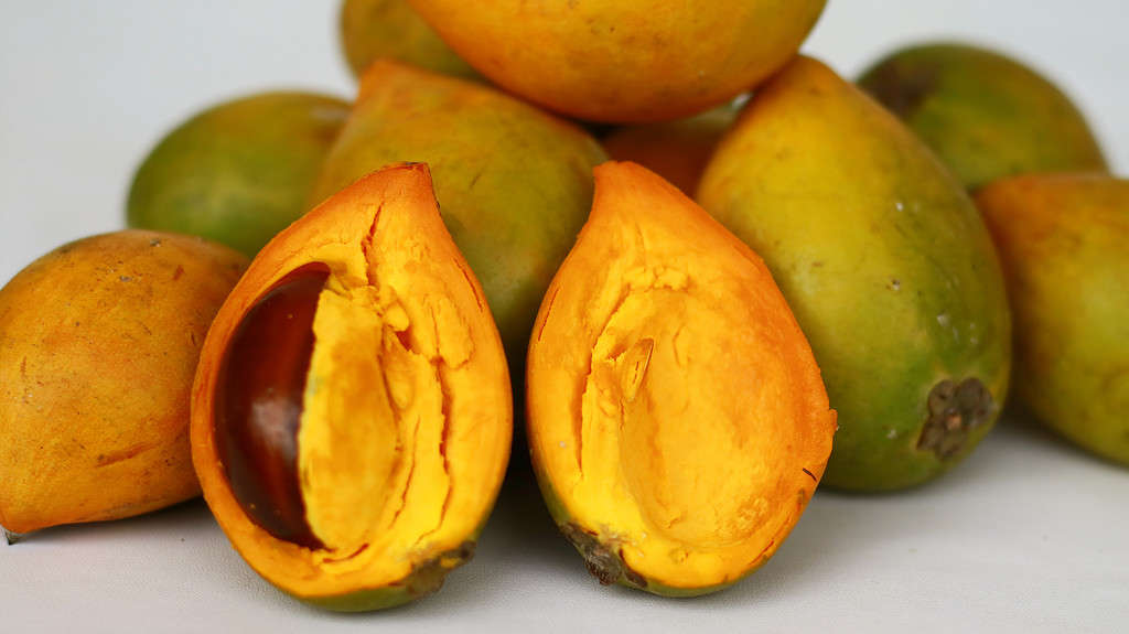 Un primo piano di un mucchio di Pouteria campechiana o eggfruit.