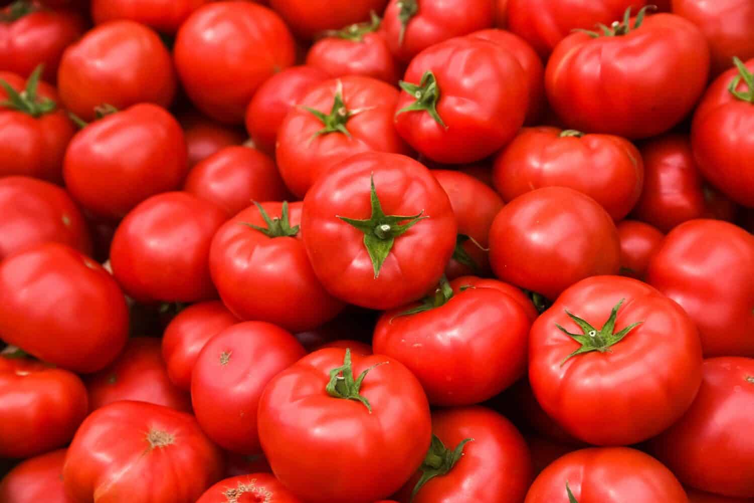 Pomodori adagiati uno sopra l'altro, consistenza del pomodoro. Messa a fuoco selettiva.