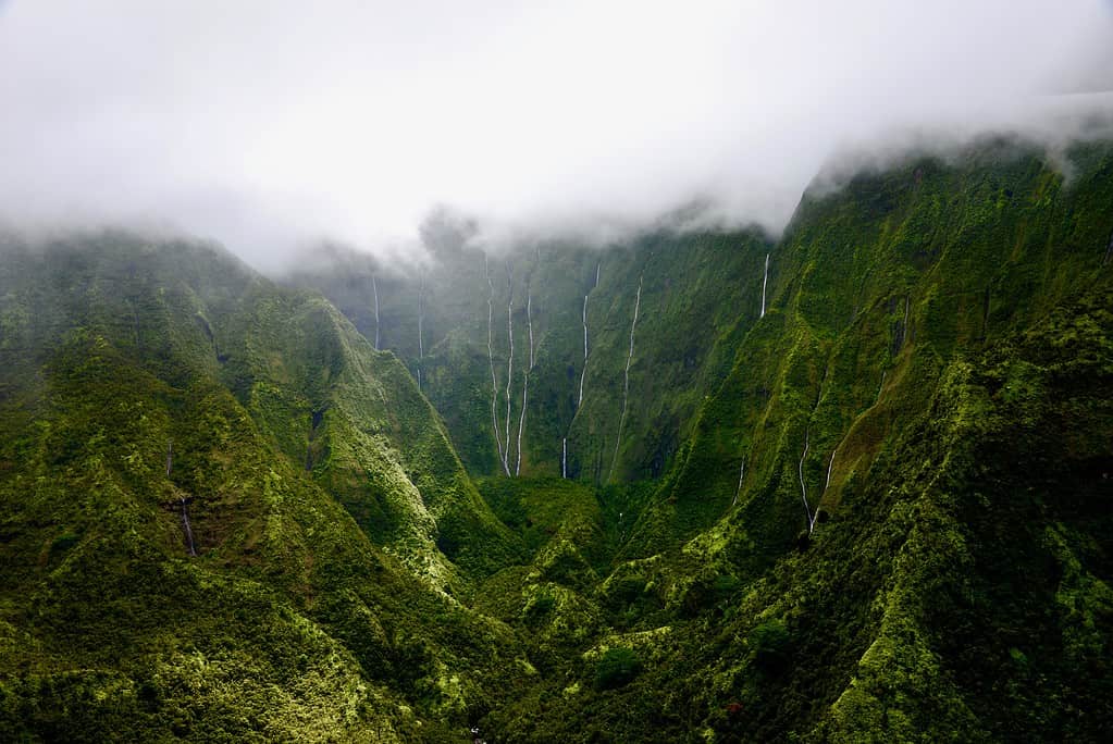 Il Muro del Pianto, Kauai
