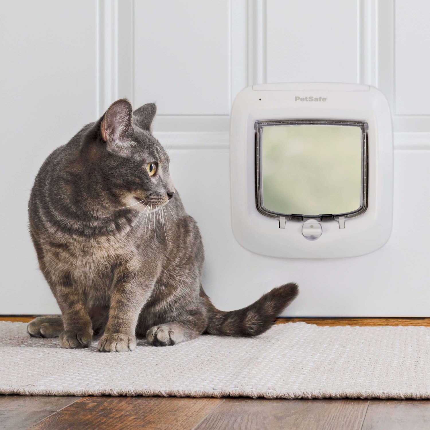 Porta per gatti con ingresso tramite microchip e chiusura a 4 vie PetSafe