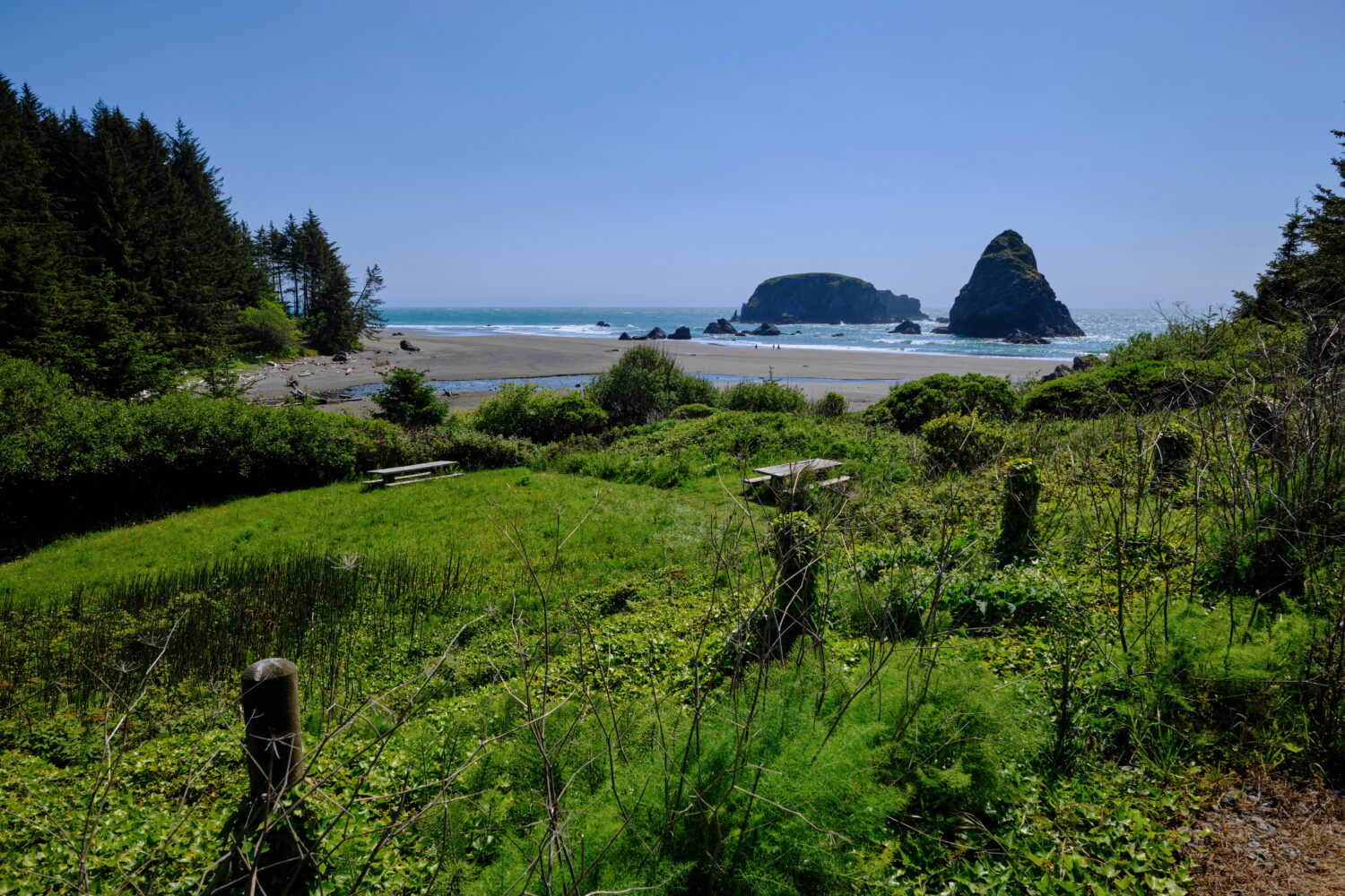 Area picnic lungo il Samuel H. Boardman State Scenic Corridor a Whaleshead Beach... un ampio tratto di spiaggia sabbiosa e imponenti faraglioni.