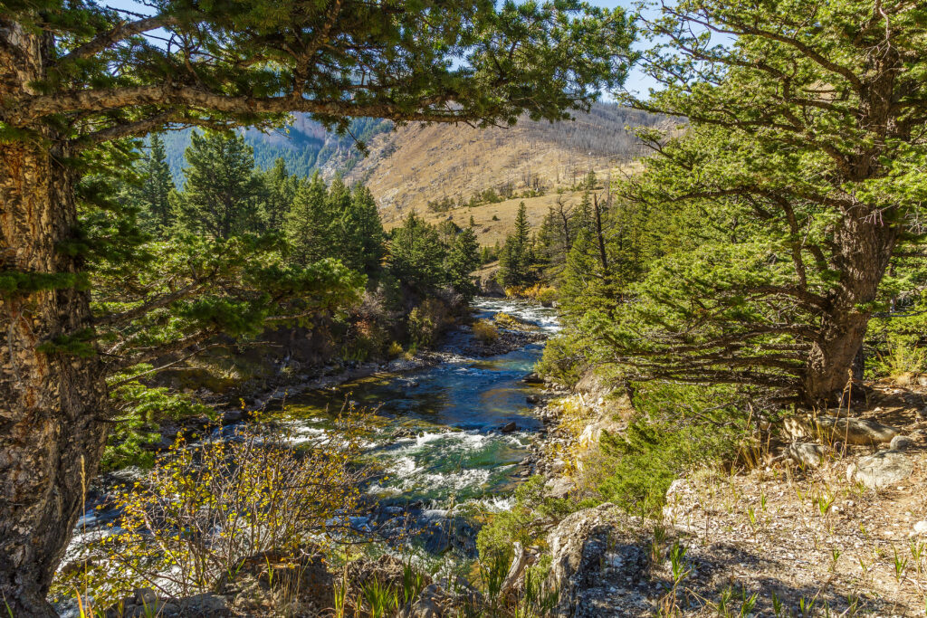 Il fiume Boulder che scorre attraverso il Natural Bridge State Park a McLeod, nel Montana