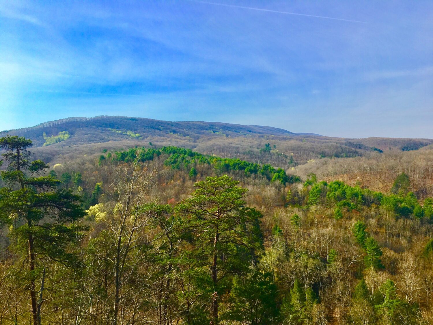 Dans Mountain nella contea di Allegany, nel Maryland. 