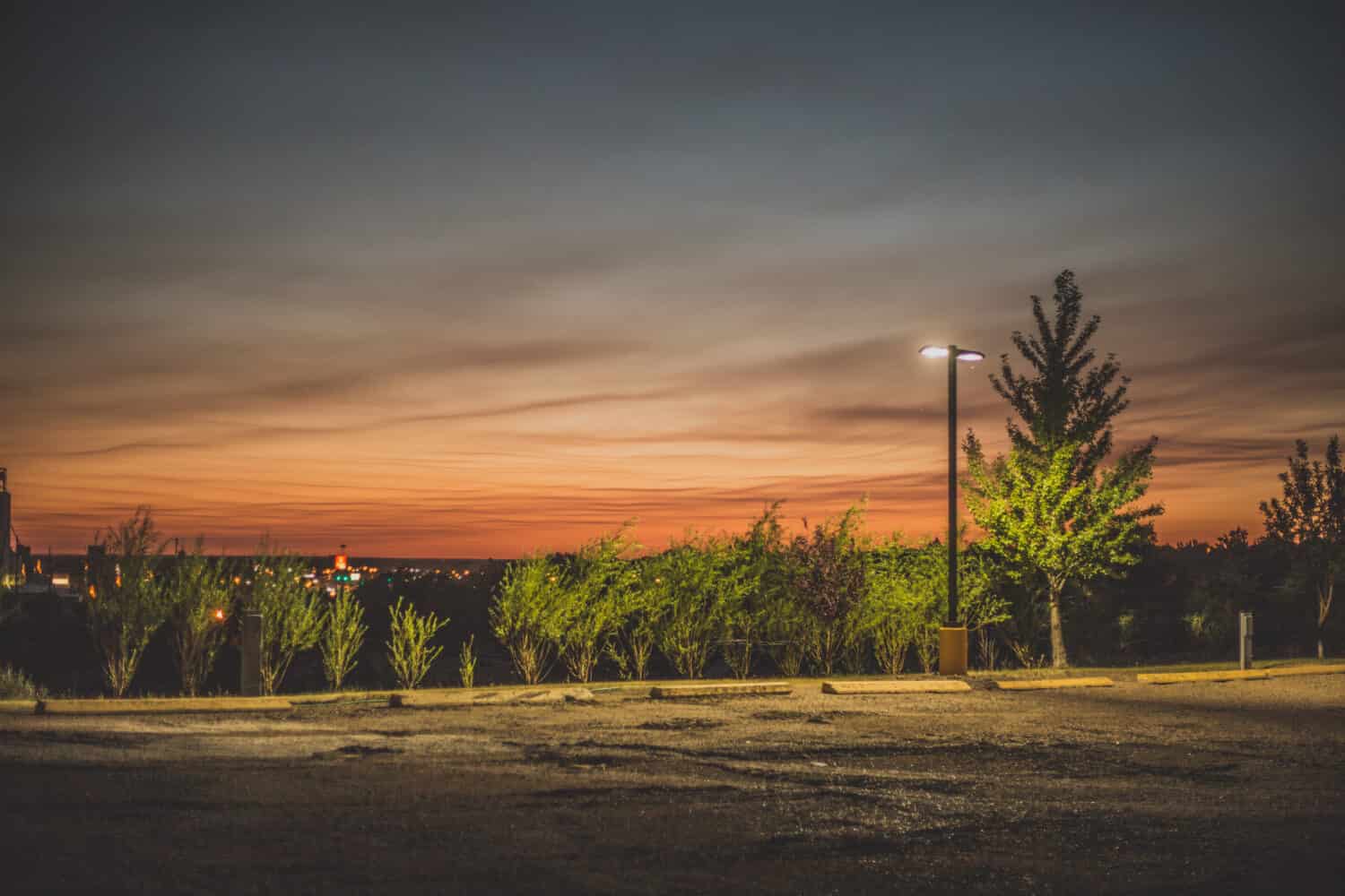 Alberi nelle strade di Glasgow, Montana 