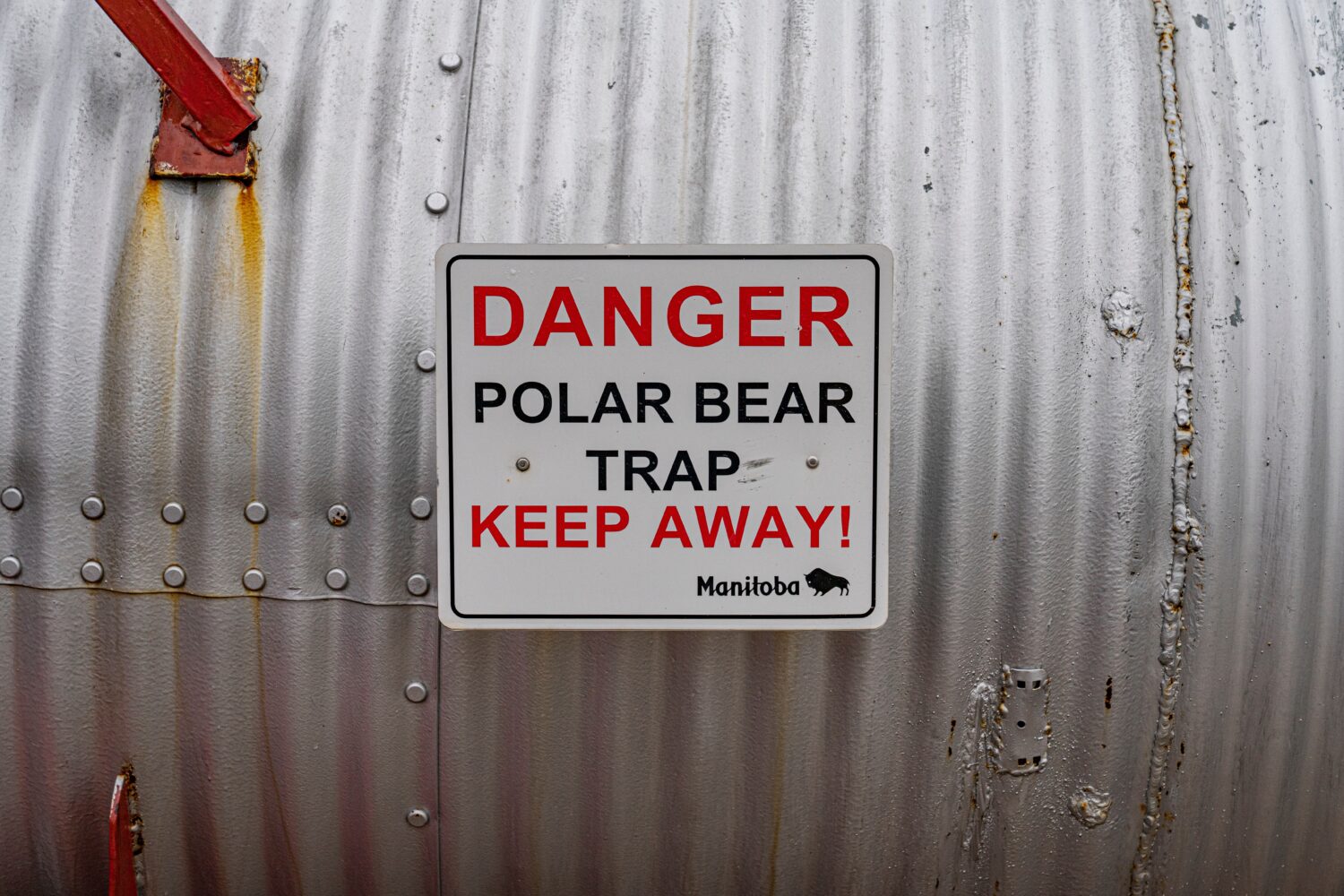 Trappola per orsi polari a Churchill, Manitoba, Canada