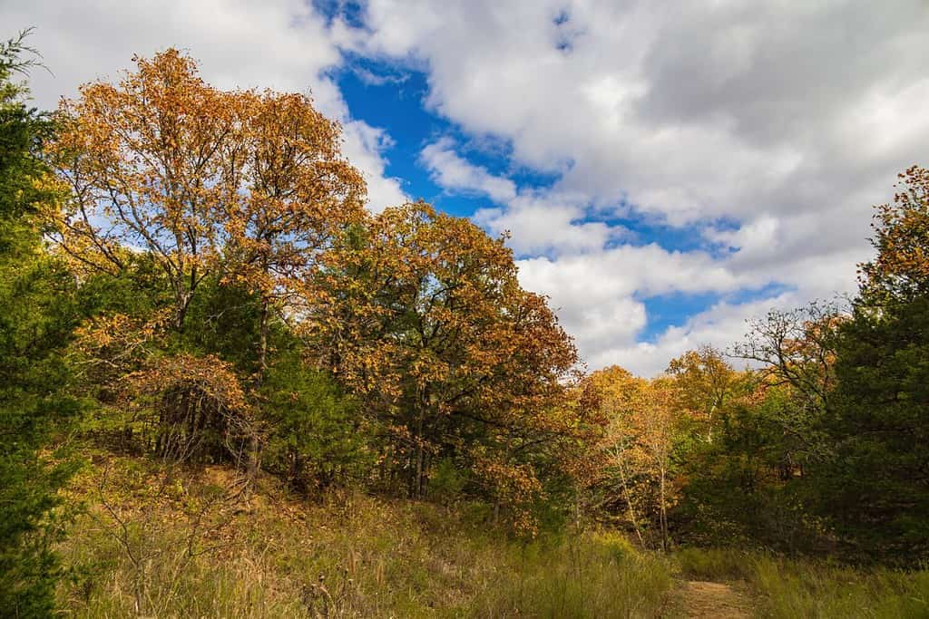 Colore autunnale dell'Osage Hills State Park in Oklahoma