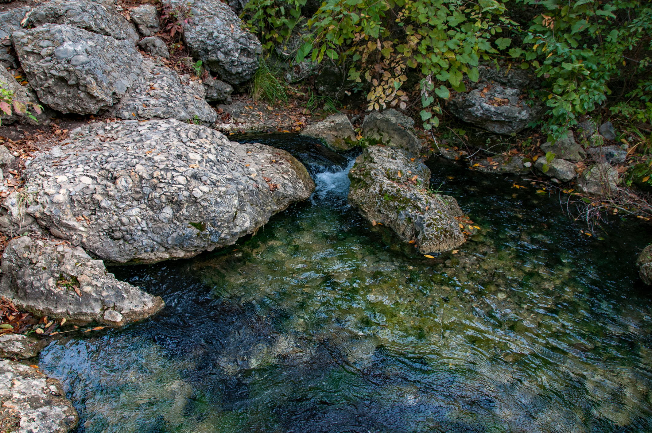 Area ricreativa nazionale di Chickasaw - Antelope Springs