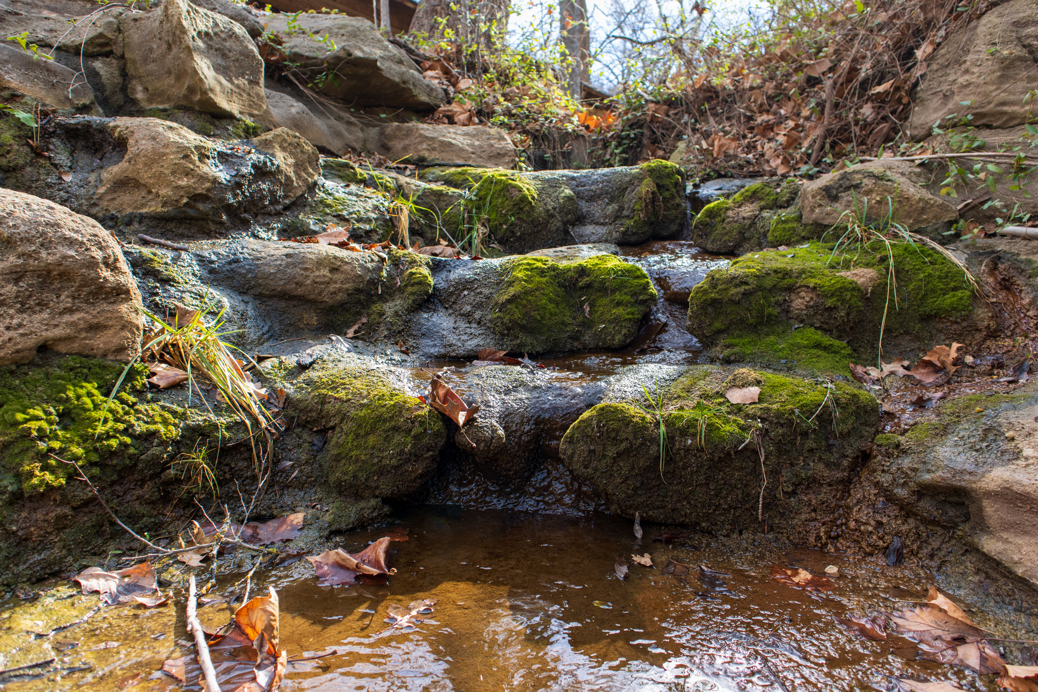 Pietre coperte di muschio con acqua che scorre su di loro nella Chickasaw National Recreation Area in Oklahoma
