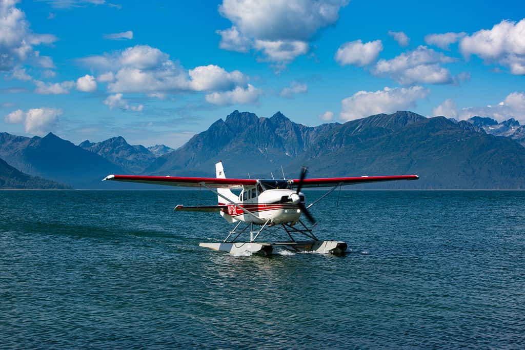 Parco Nazionale e Riserva del Lago Clark, Cook Inlet, Penisola di Kenai, Alaska, Idrovolante, Vulcano Monte Iliamna