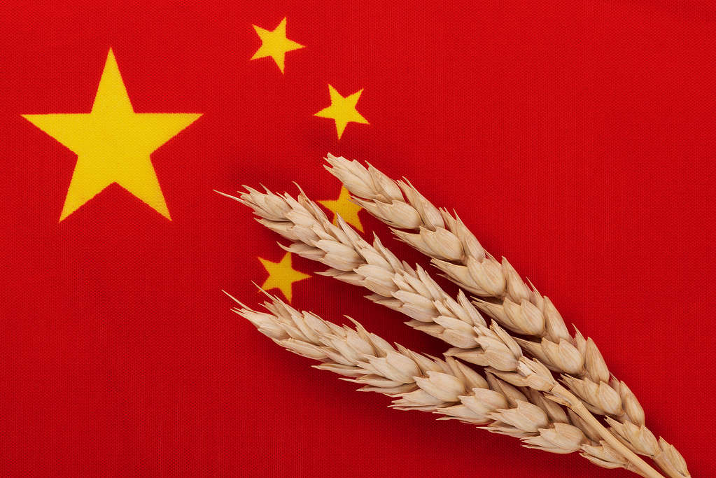 Tre spighe di grano mature sullo sfondo di un frammento della bandiera della Cina