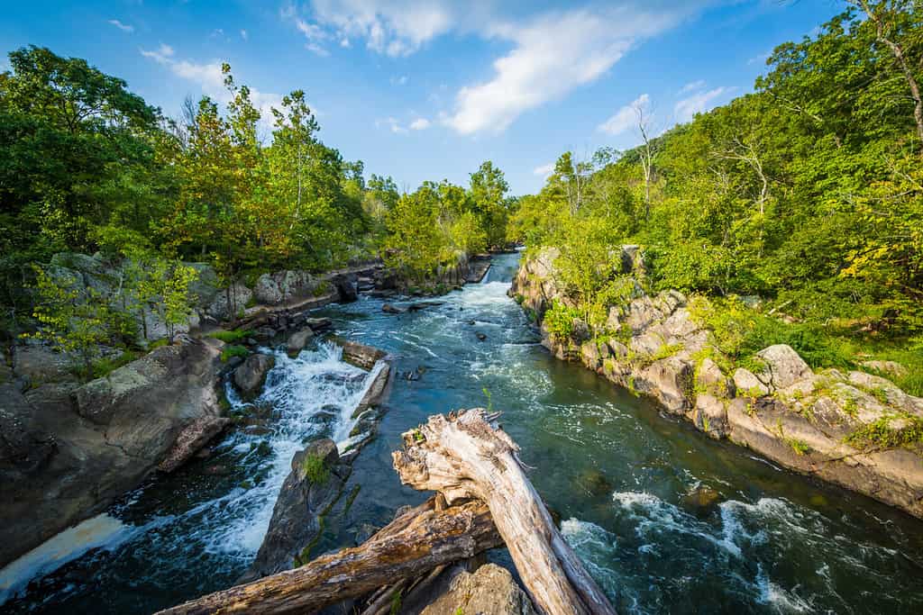 Rapide nel fiume Potomac a Great Falls, viste dall'isola di Olmsted a Chesapeake e Ohio Canal National Historical Park, Maryland.