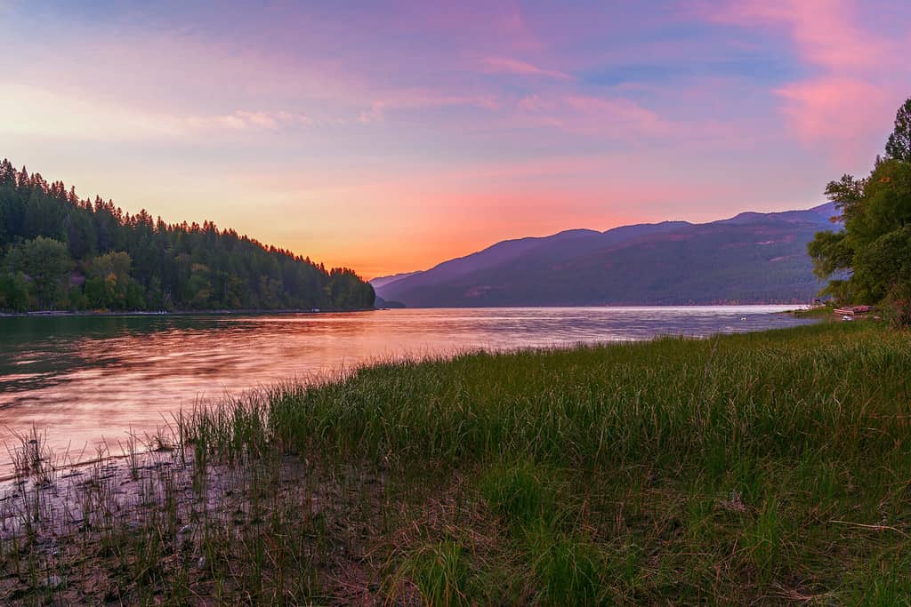 Lago del coregone.  Contea di Testapiatta.  Montana.  Stati Uniti d'America