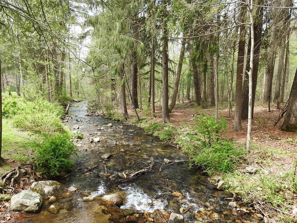 La bellezza paesaggistica dell'Antietam Creek che attraversa il Mount Alto State Park, la Michaux State Forest, la contea di Franklin, Pennsylvania.