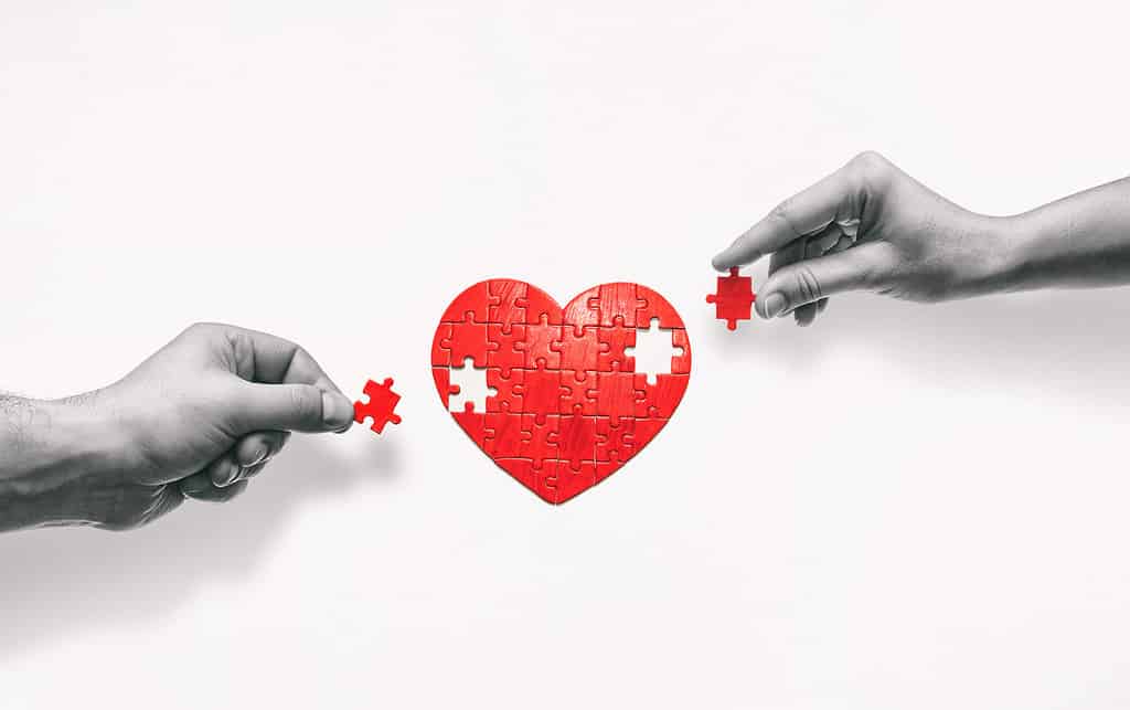 puzzle a forma di cuore