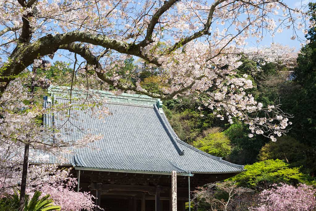 Tempio della primavera