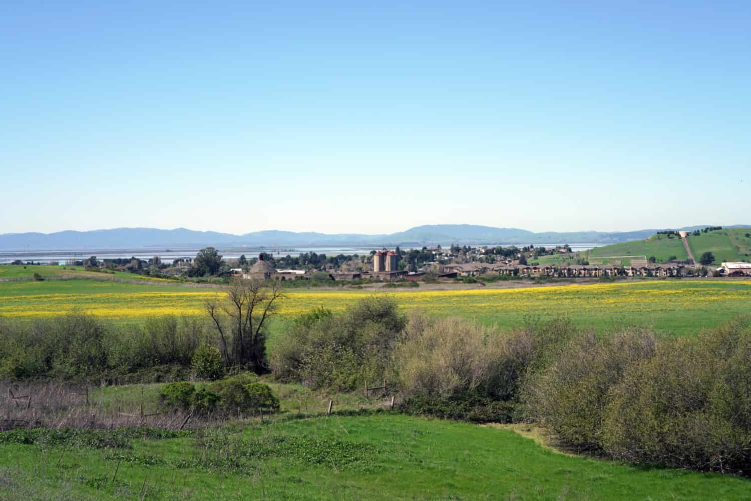 Vista dell'American Canyon, California, dalla Newell Open Space Preserve