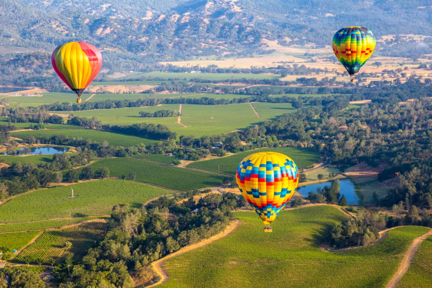 In procinto di volare - Viaggio in mongolfiera nella Napa Valley, California, USA