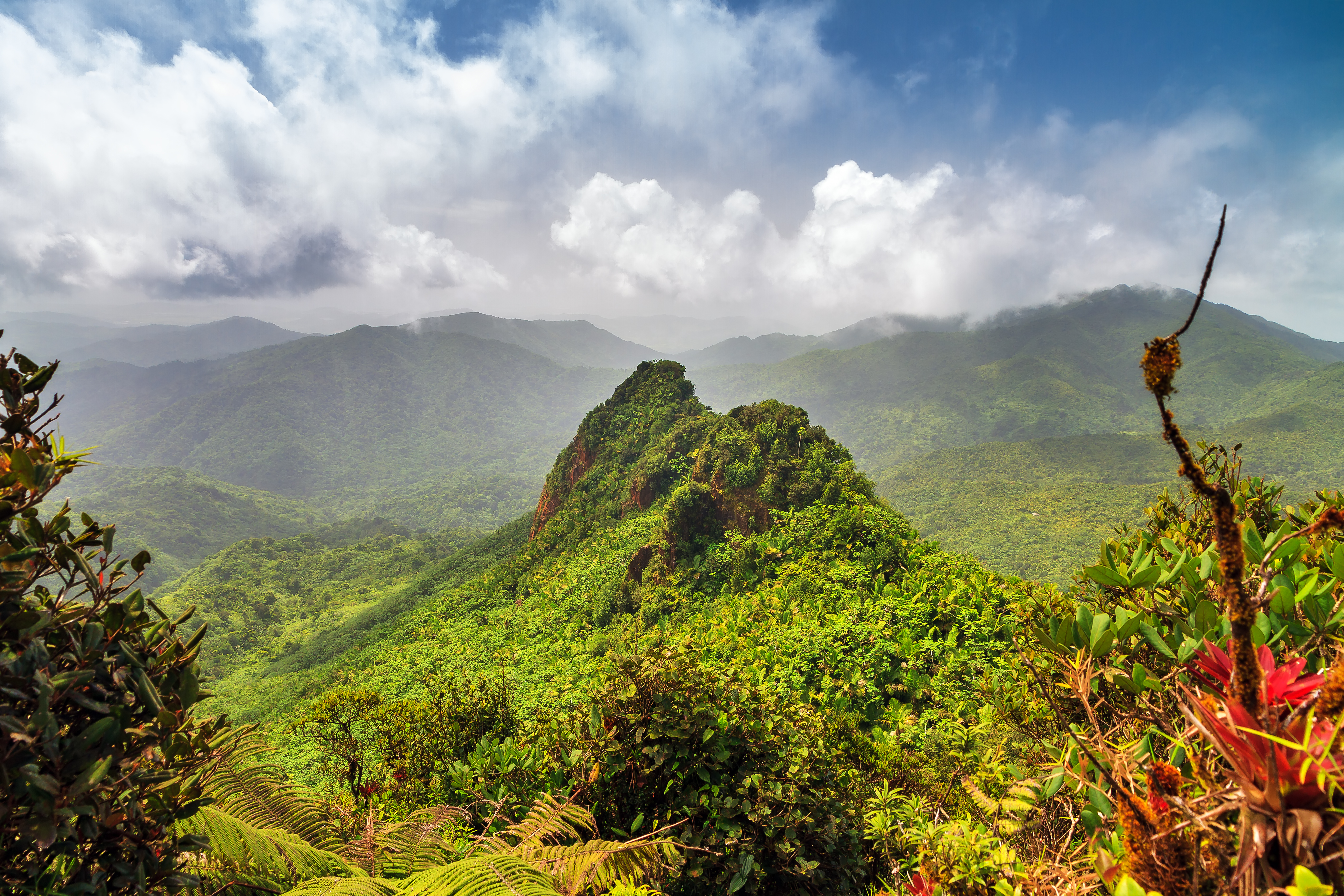 Vista vibrante El Yunque