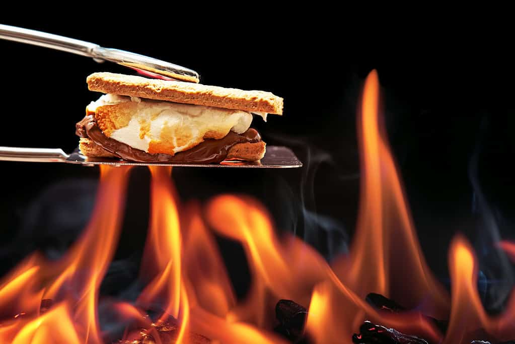 Smore cucinare sul fuoco