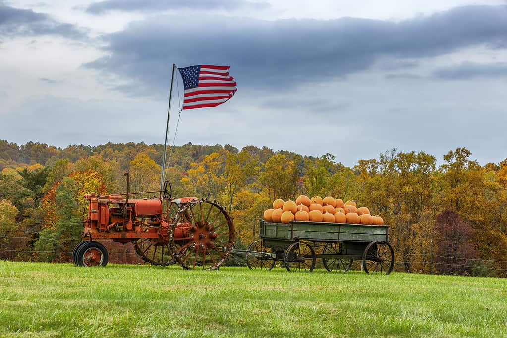 Blue Ridge Parkway in Virginia Vista del paesaggio autunnale.